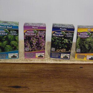 Herb Rocket 4 different Herbs ready to plant in a pot or garden--Grow yo…